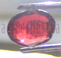 No Image Found
